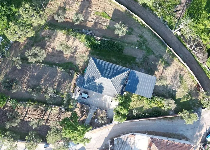 Serenity Mountain House Dağ evi Ayvalı